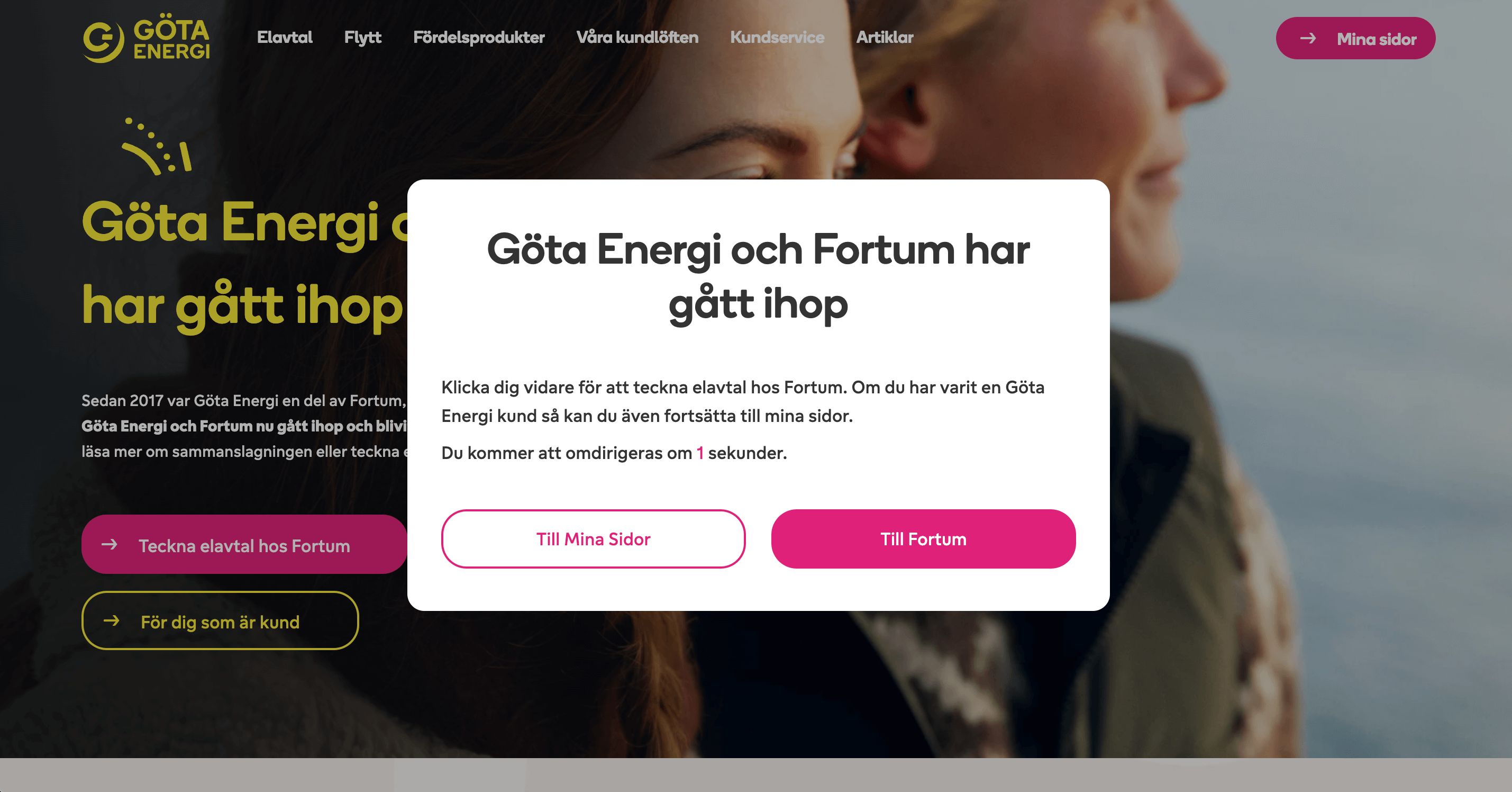 Göta Energi