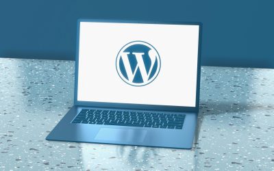 Så väljer du rätt hosting för din WordPress-sajt